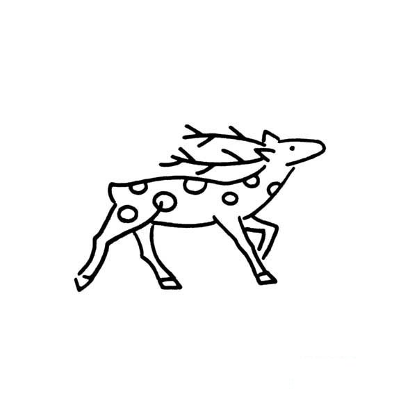 梅花鹿的简易画法雄性梅花鹿的画法