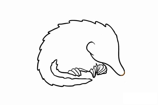 穿山甲简笔画