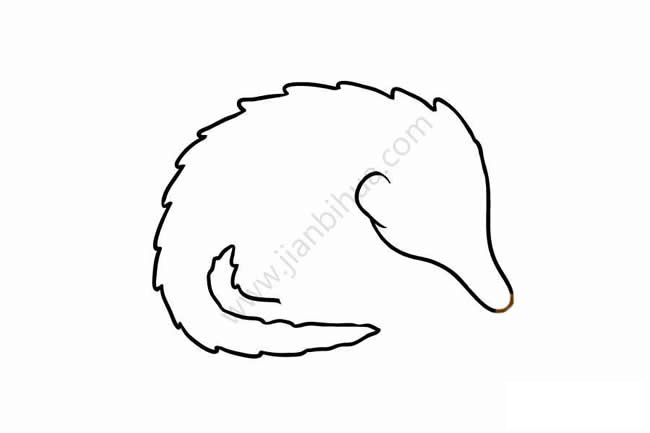 穿山甲简笔画