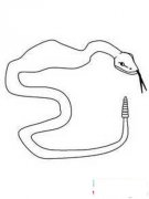 动物简笔画:蛇