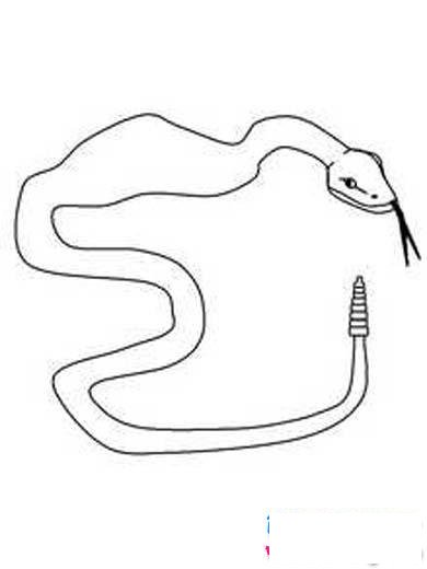 动物简笔画：蛇