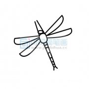 蜻蜓的简单画法
