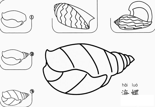 儿童画海螺怎么画简笔画图片