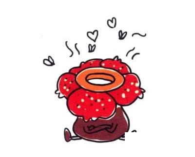 大王花简笔画图片