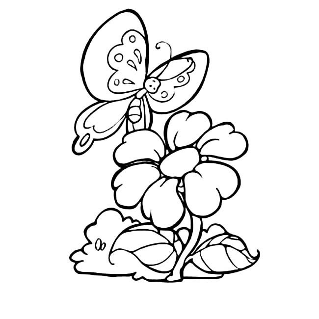 蝴蝶采花植物花简笔画步骤图片大全