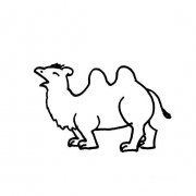 骆驼双峰驼怎样画