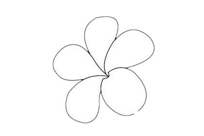 鸡蛋花简笔画图片