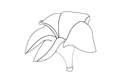 鸡蛋花简笔画图片