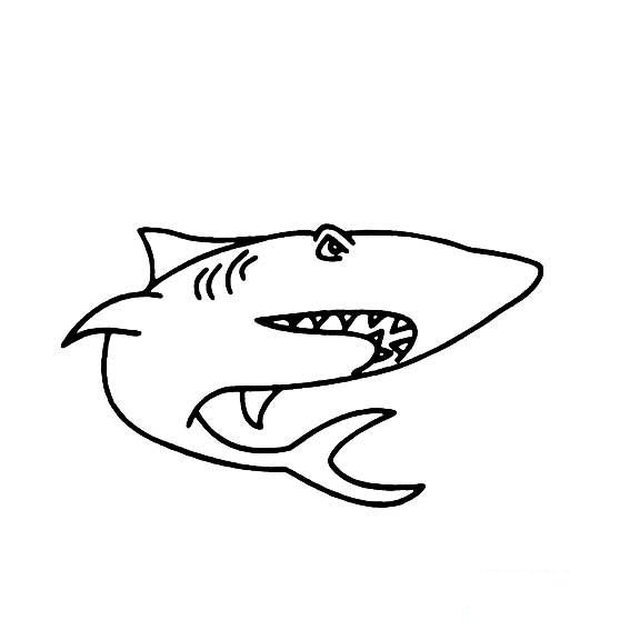鲨鱼的画法可怕的鲨鱼简单画法