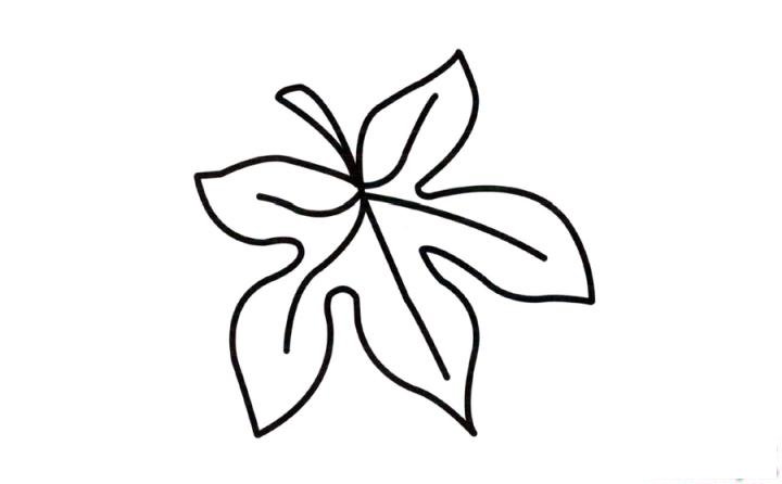 彩色简笔画枫叶的图片教程