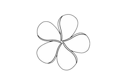 鸡蛋花简笔画完成图