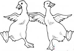 两只跳舞的鸭子简笔画