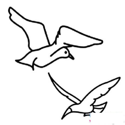 两只海鸥简笔画图片大全