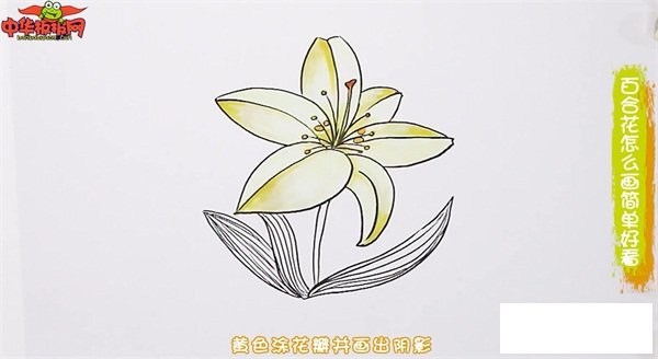百合花怎么画简单好看
