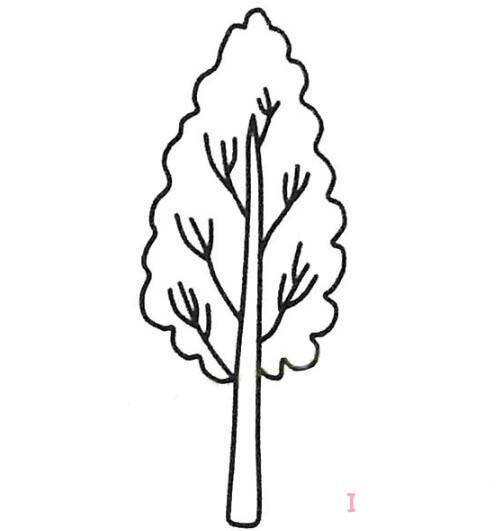 怎么画一棵白杨树简笔画步骤图简单