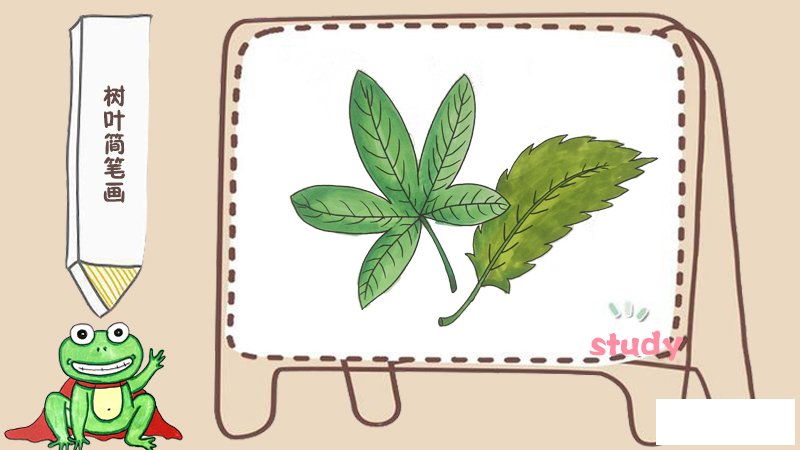 树叶简笔画