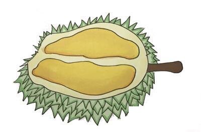 水果之王榴莲简笔画步骤图