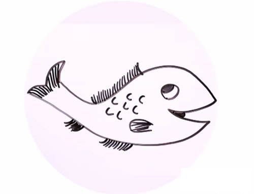 淡水鱼简笔画
