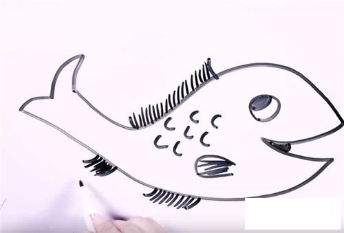 淡水鱼简笔画