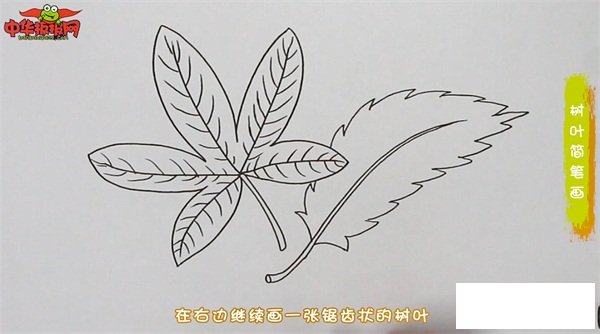 树叶简笔画