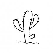 仙人掌的画法沙漠里的仙人掌