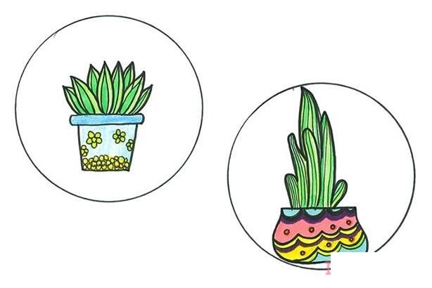 盆摘虎皮兰怎么画简单_盆栽简笔画图片