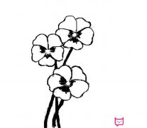 三色堇简笔画怎么画