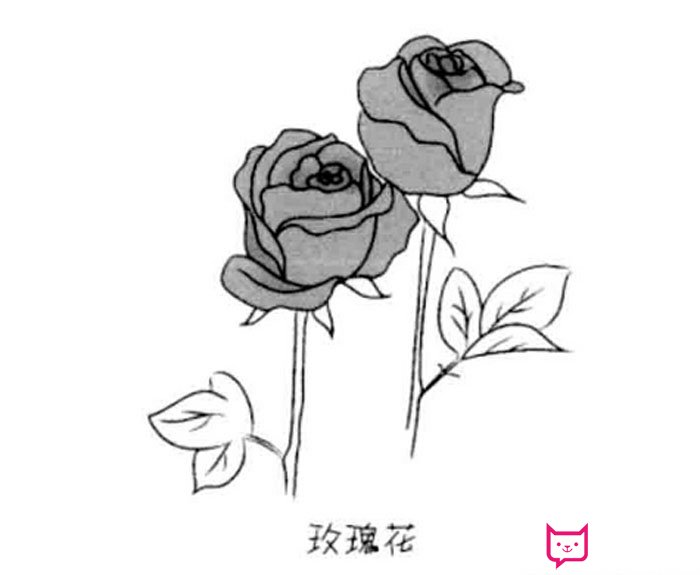 情人节玫瑰花简笔画