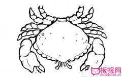 螃蟹简笔画图片，儿童学画螃蟹