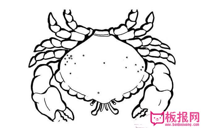 螃蟹简笔画图片,儿童学画螃蟹