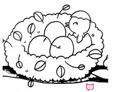 超萌的小鸟简笔画,等待喂食的小鸟宝宝