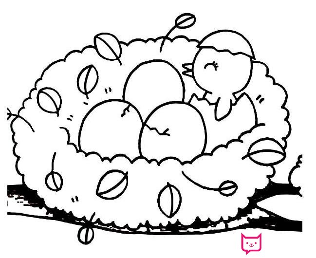 超萌的小鸟简笔画，等待喂食的小鸟宝宝