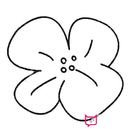 漂亮的简笔画花大全，梅花简笔画