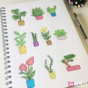 简单的植物简笔画大全，各种盆栽植物简笔画