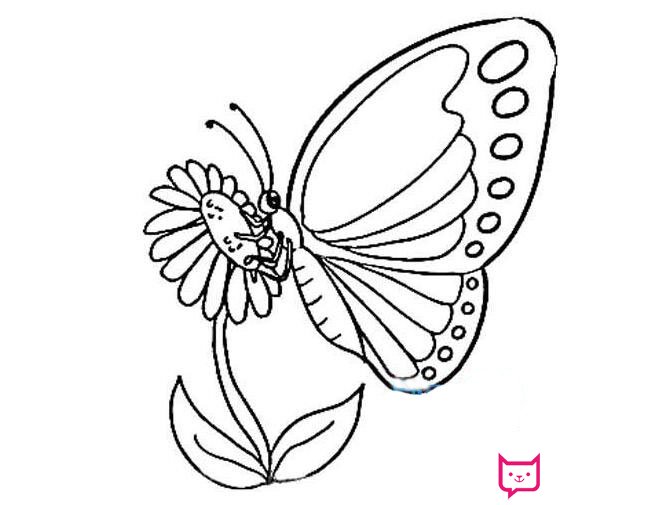 1一6年级画画图片大全，各种美丽的蝴蝶简笔画图片