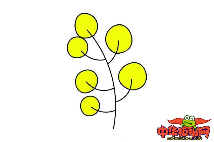 花草简笔画大全带颜色,花草树木简笔画彩色的