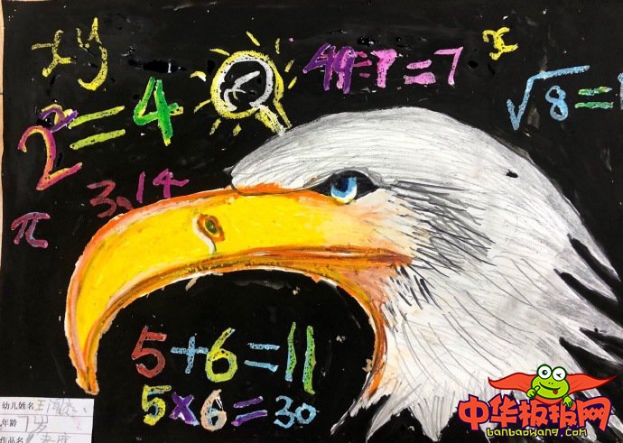 1一6年级画画图片大全,鹰