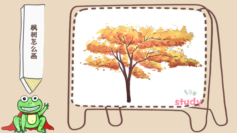 枫树怎么画