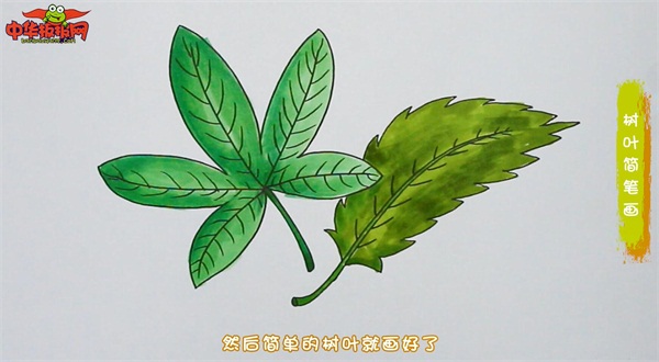 树叶简笔画