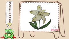 百合花怎么画简单好看