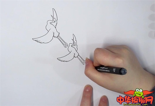 一行白鹭简笔画