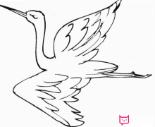 丹顶鹤简笔画,飞翔的丹顶鹤