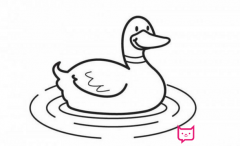 小鸭子简笔画，水中的小鸭子