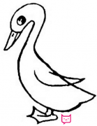 小鸭子简笔画，羞涩的鸭子