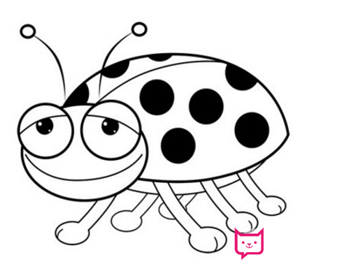 七星瓢虫简笔画，令人尊敬的七星瓢虫