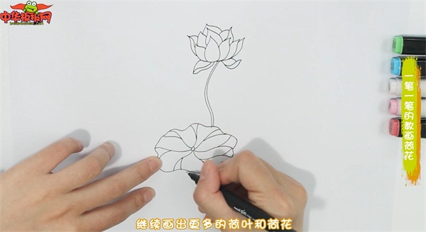一笔一笔的教画荷花