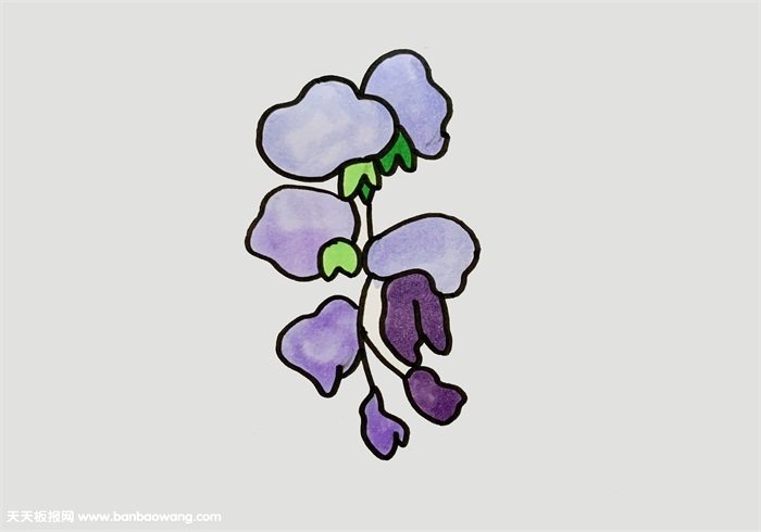 紫藤花怎么画