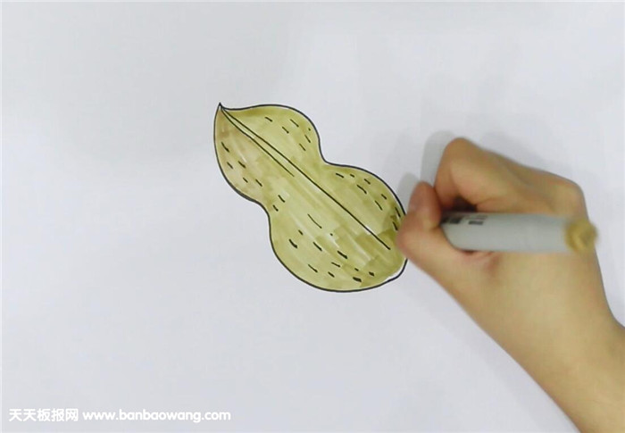 花生简笔画