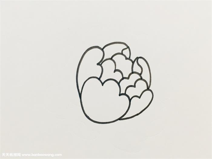 一笔一笔的教画牡丹花