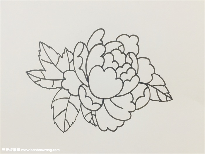 一笔一笔的教画牡丹花